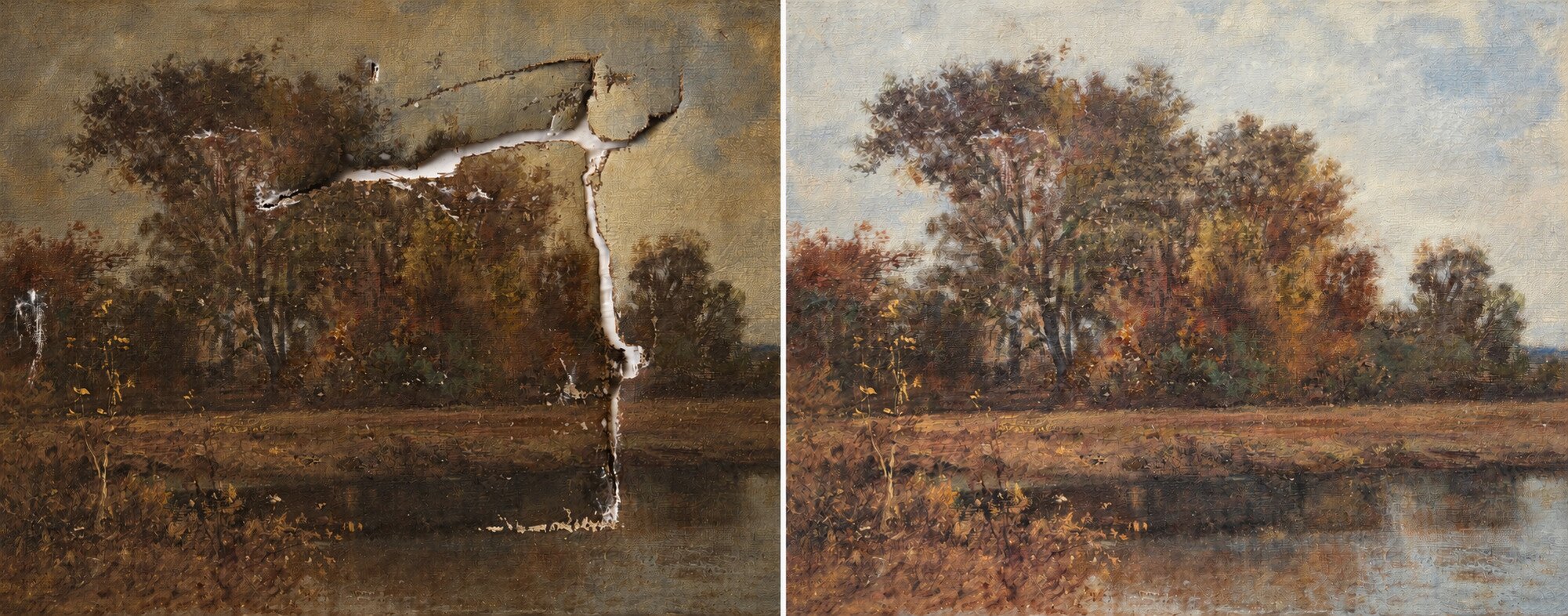 Landscape repair